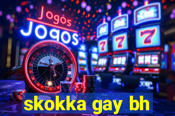 skokka gay bh